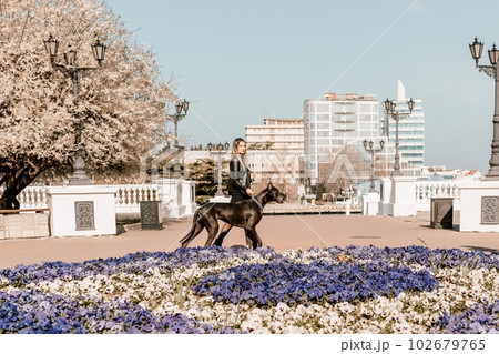 A woman walks with her Great Dane in an urban setting, enjoying the outdoors and the company of her dog. 102679765