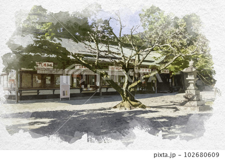 水彩画風　大麻比古神社　授与所　徳島県鳴門市 102680609