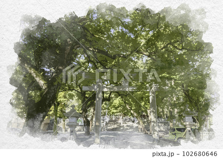 水彩画風 大麻比古神社 鳥居 徳島県鳴門市 水彩画風 大麻比古神社 鳥居 徳島県鳴門市 102680646