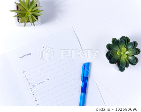 Close up view photo of word vaccination written in daily planner 102680696