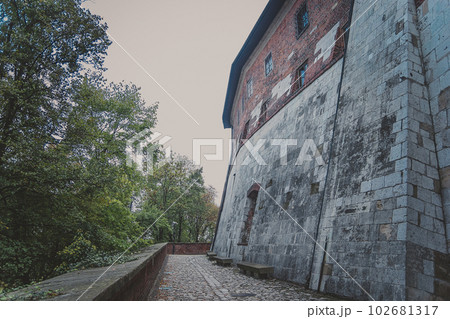 Part of the Wawel royal Castle in Krakow 102681317