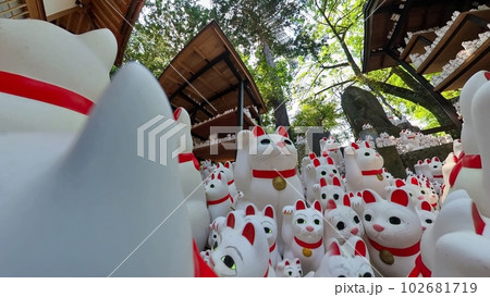 Gotokuji, the famous cat shrine in tokyo, which  the beckoning cat is its mascot Gotokuji, the famous cat shrine in tokyo, which  the beckoning cat is its mascot 102681719