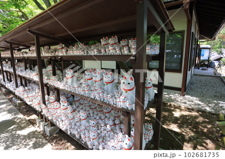Gotokuji, the famous cat shrine in tokyo, which  the beckoning cat is its mascot 102681735