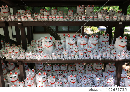 Gotokuji, the famous cat shrine in tokyo, which the beckoning cat is its mascot Gotokuji, the famous cat shrine in tokyo, which the beckoning cat is its mascot 102681736