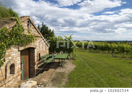 Wine cellars and vineyard in Palava region, Southern Moravia, Czech Republic 102682534