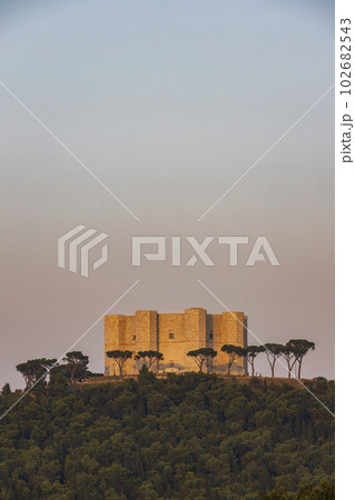 Castel del Monte, castle built in an octagonal shape by the Holy Roman Emperor Frederick II in the 13th century in Apulia region, Italy 102682543