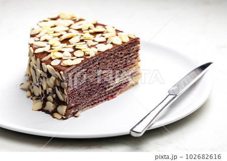 buiscuit cake with dark chocolate decorated with almonds 102682616