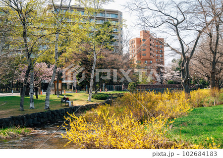 Spring of Nakajima park in Sapporo, Hokkaido, Japan 102684183