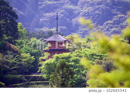新緑の清水寺　子安塔　京都市東山区 102685541