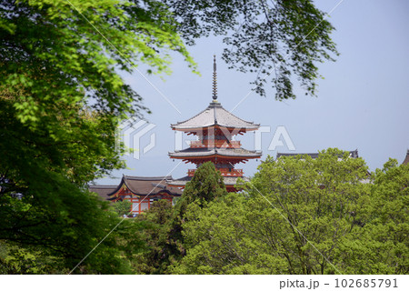 新緑の清水寺　三重塔　京都市東山区 102685791