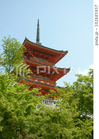 新緑の清水寺　三重塔　京都市東山区 102685937