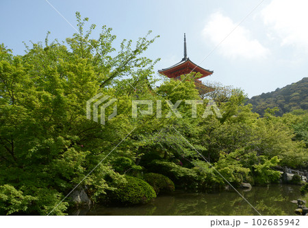 新緑の清水寺　三重塔　京都市東山区 102685942