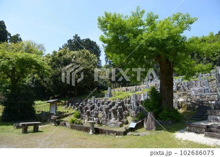 鵜川四十八体石仏群　滋賀県高島市鵜川 102686075