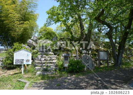大溝城跡 滋賀県高島市 大溝城跡 滋賀県高島市 102686223