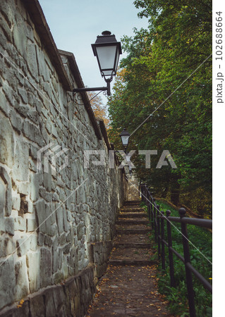View of the Wall of the Casimir castle of Przemysl city 102688664