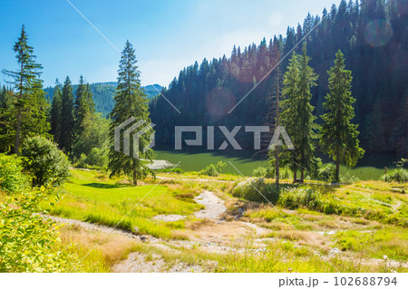Photo of Summer Romanian landscape near Lake Lacu Rosu 102688794