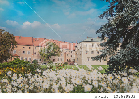 View of Cathedral museum, green lawns, trees, flowers and bushes on Wawel Hill View of Cathedral museum, green lawns, trees, flowers and bushes on Wawel Hill 102689833
