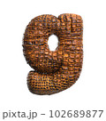 crocodile letter G - Small 3d reptile font - Suitable for wildlife, ecology or conservation related subjects 102689877