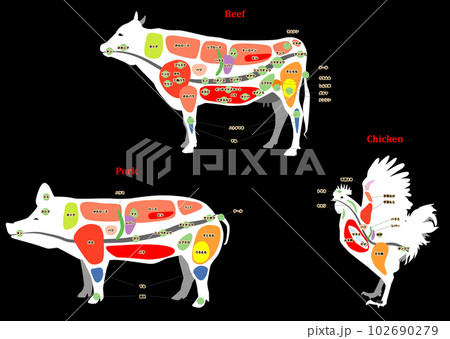 牛豚鶏の部位図ホルモン入り背景黒 牛豚鶏の部位図ホルモン入り背景黒 102690279