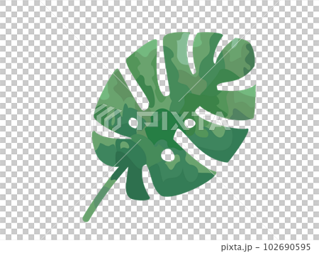 受龜背竹葉啟發的插圖 102690595