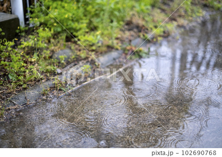 水たまりに雨が落ちて広がる波紋 水たまりに雨が落ちて広がる波紋 102690768