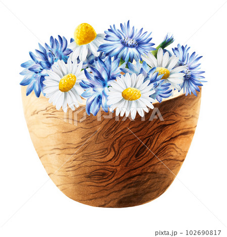 Watercolor wooden mortar with cornflowers chamomile isolated on white background. Beauty products and botany elements, cosmetology and medicine. For designers, spa decoration, postcards, wrapping Watercolor wooden mortar with cornflowers chamomile isolated on white background. Beauty products and botany elements, cosmetology and medicine. For designers, spa decoration, postcards, wrapping 102690817