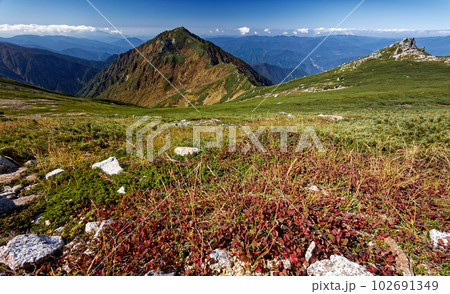 中央アルプス・極楽平の草紅葉と三ノ沢岳 102691349