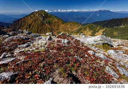 中央アルプス・島田娘稜線の草紅葉と三ノ沢岳・御嶽の眺め 102691636