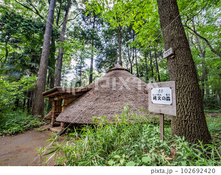 千葉県松戸市 21世紀の森と広場「縄文の森」にある復元竪穴住居 千葉県松戸市 21世紀の森と広場「縄文の森」にある復元竪穴住居 102692420