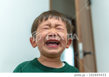 イヤイヤ期の子供　号泣　大泣きする男の子 102693433