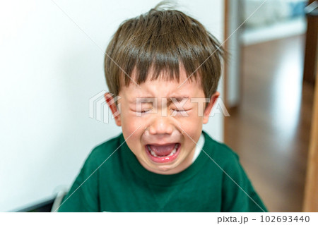 イヤイヤ期の子供 号泣 大泣きする男の子 イヤイヤ期の子供 号泣 大泣きする男の子 102693440