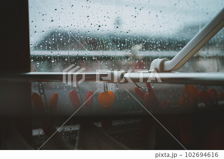 雨の日に部屋干し 雨の日に部屋干し 102694616