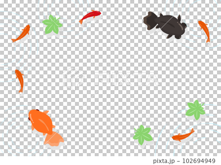 赤い金魚と和金と黒い出目金のイラスト、背景白 赤い金魚と和金と黒い出目金のイラスト、背景白 102694949