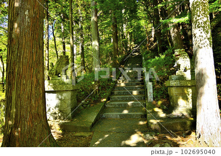 道志山塊の石割山 石割神社参道 石割山ハイキングコース 道志山塊の石割山 石割神社参道 石割山ハイキングコース 102695040