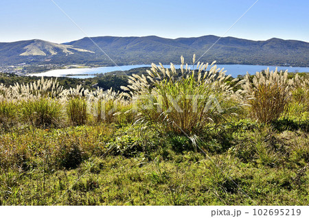 道志山塊の大平山の草原より三国山稜と山中湖を望む 102695219