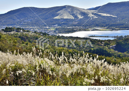 道志山塊の大平山の草原より鉄砲木ノ頭（明神山）と三国山稜と山中湖を望む 102695224