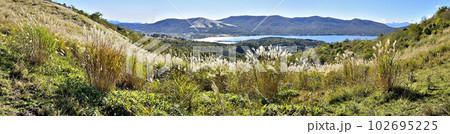 道志山塊の大平山の草原より鉄砲木ノ頭（明神山）と三国山稜と山中湖を望むパノラマ 102695225