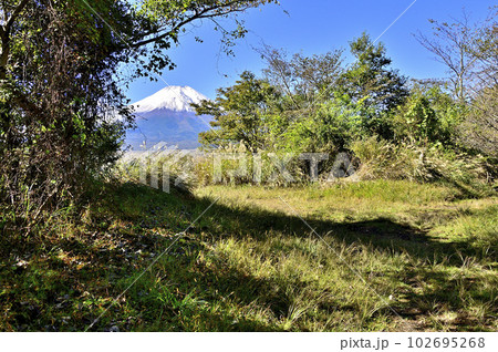 道志山塊の長池山山頂より富士山を望む 102695268