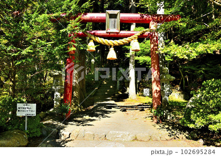 道志山塊の石割山　石割神社参道　石割山ハイキングコース入口 102695284