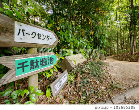 千葉県松戸市　21世紀の森と広場内の遊歩道と案内標識 102695288