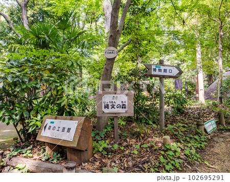 千葉県松戸市　21世紀の森と広場内の遊歩道・縄文の森入口 102695291