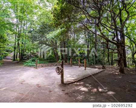 千葉県松戸市 21世紀の森と広場内・森の工芸館前の輪投げ 千葉県松戸市 21世紀の森と広場内・森の工芸館前の輪投げ 102695292