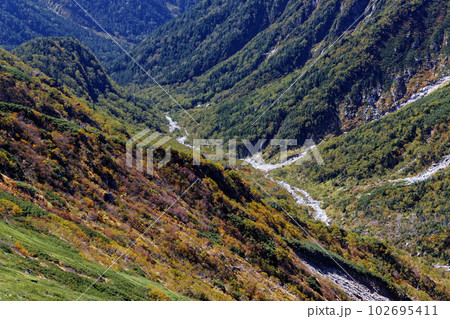 中央アルプス・主稜線縦走路から見る紅葉の谷間 102695411