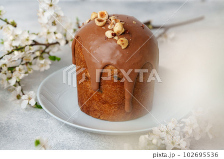 Ester cake with chocolate topping and nuts on gray background Ester cake with chocolate topping and nuts on gray background 102695536