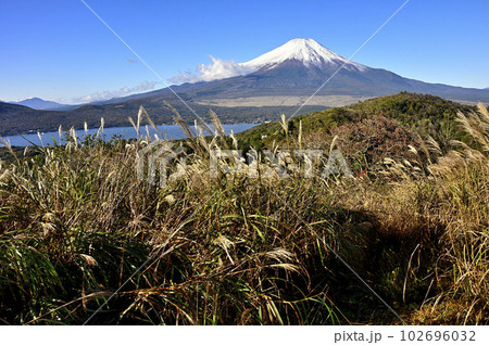 道志山塊の平尾山山頂より望む富士山 102696032