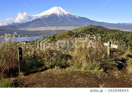 道志山塊の平尾山山頂より望む富士山 道志山塊の平尾山山頂より望む富士山 102696043