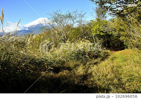 道志山塊の大窪山（皆形山）山頂より富士山を望む 102696056