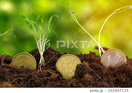 Euro coins and plant sprouts, financial growth concept Euro coins and plant sprouts, financial growth concept 102697135