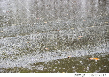 ゲリラ豪雨、マンション、住宅地周辺 102697213