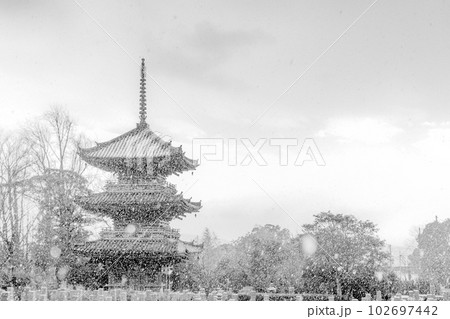 京都大山崎の冬の寶積寺の三重塔 102697442